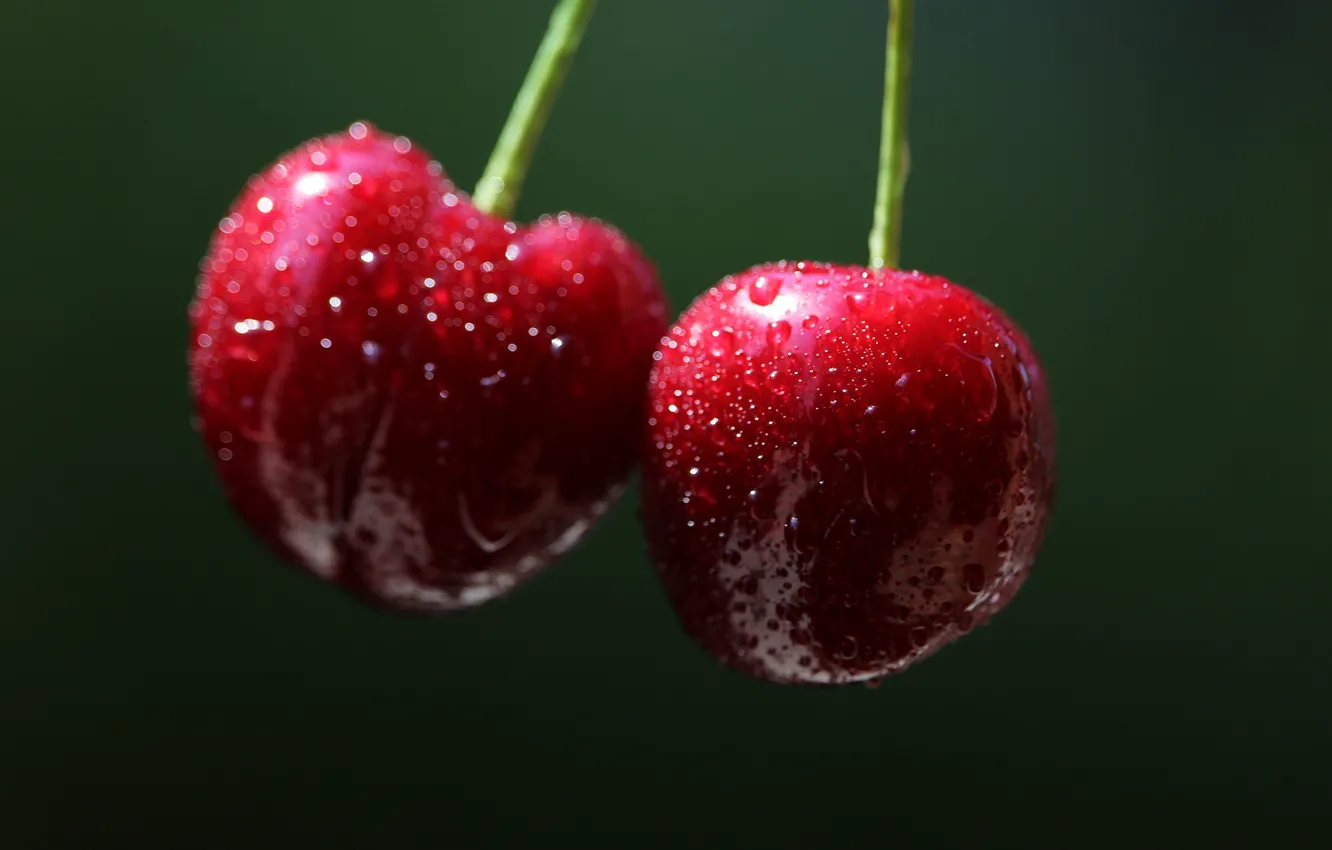 Фото обои макро, вишня, ягоды, фон, дуэт, черешня