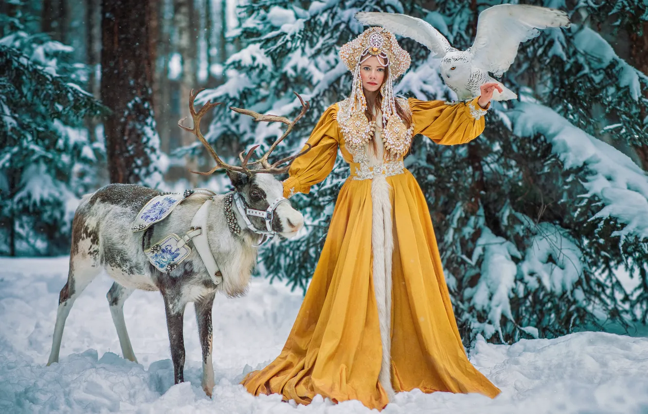 Фото обои зима, лес, девушка, снег, сова, птица, олень, платье