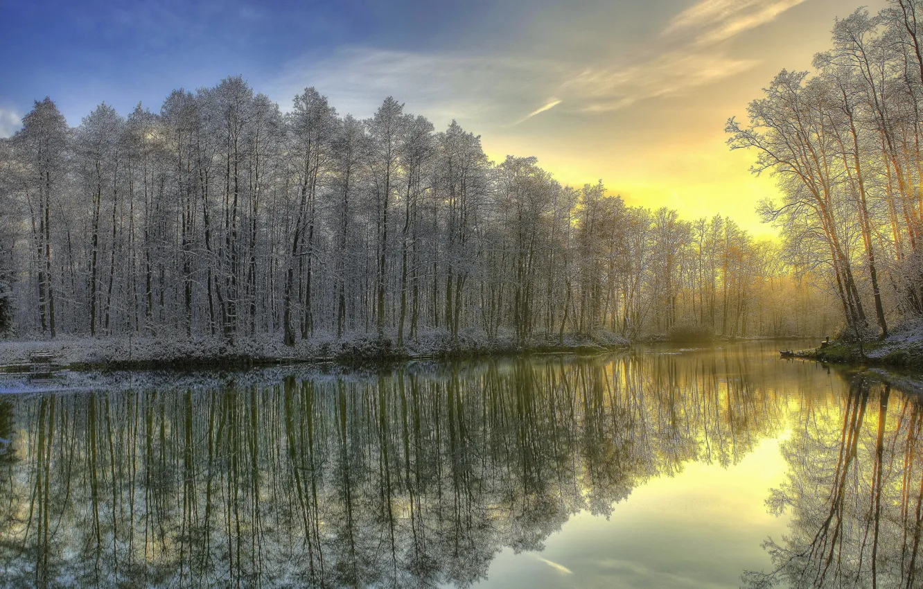 Фото обои зима, иней, лес, река, восход, утро