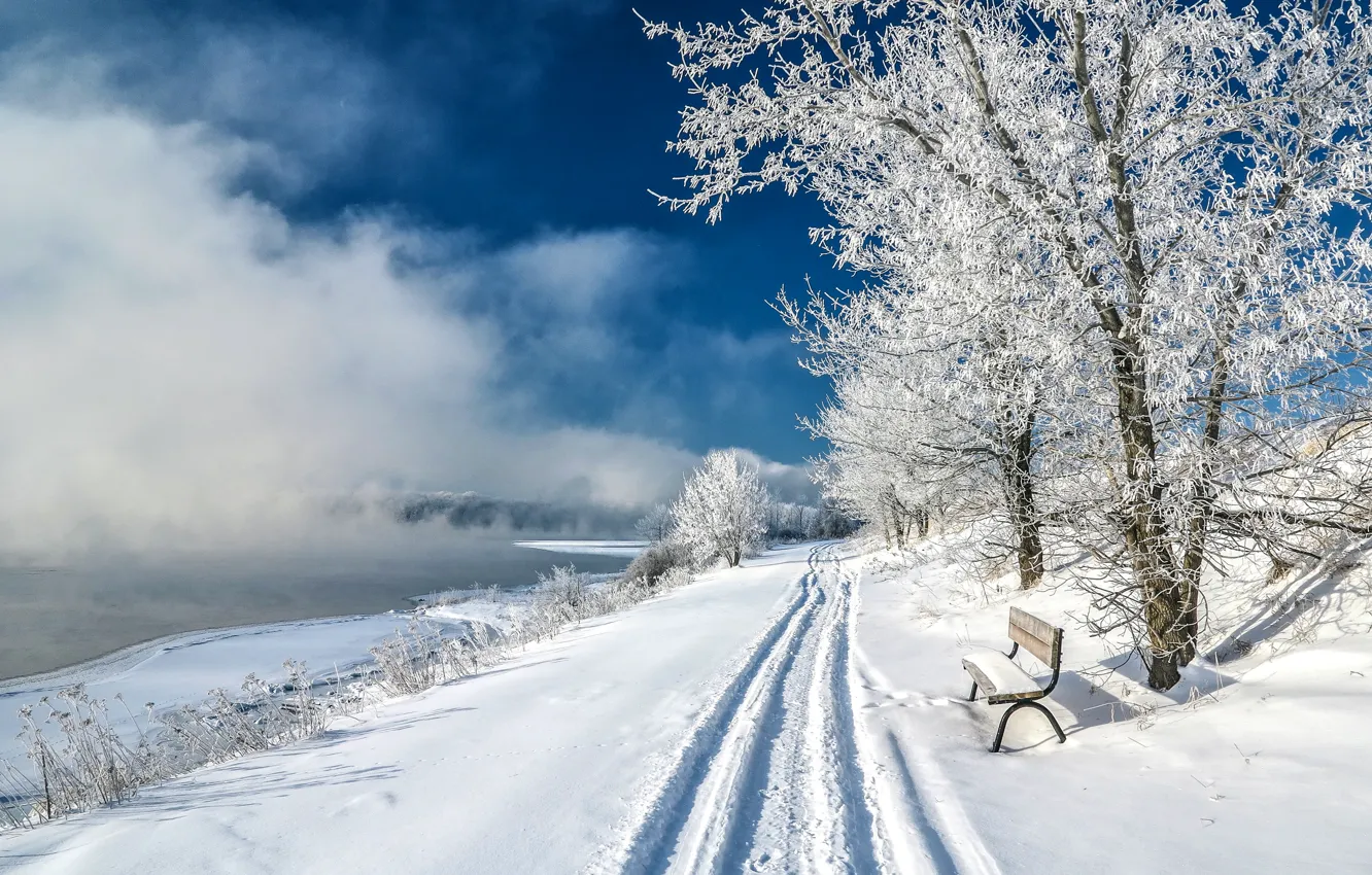 Фото обои зима, снег, деревья, озеро, пруд, парк, склон, скамья
