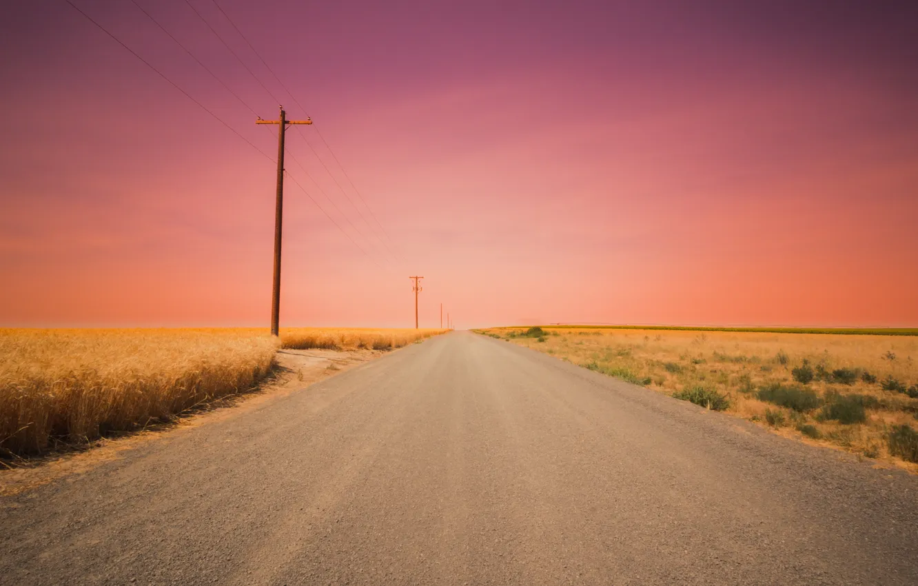 Фото обои дорога, поле, закат, линия электропередач, розовый небо