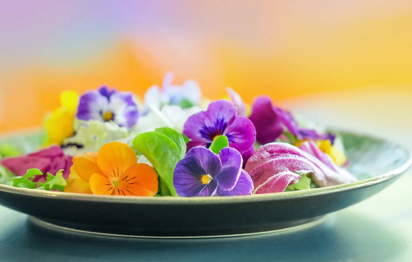 Фото обои макро, цветы, лепестки, тарелка, анютины глазки