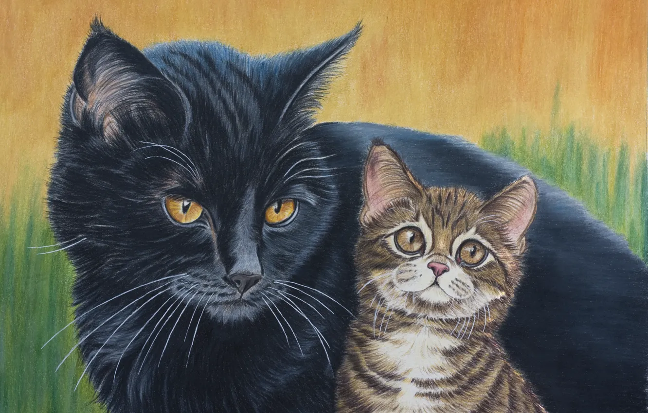 Фото обои кот, природа, чёрный, котёнок, коричневый