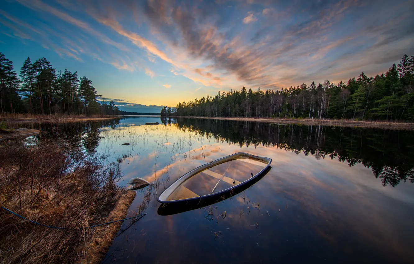 Фото обои лес, небо, облака, ветки, озеро, отражение, синева, берег