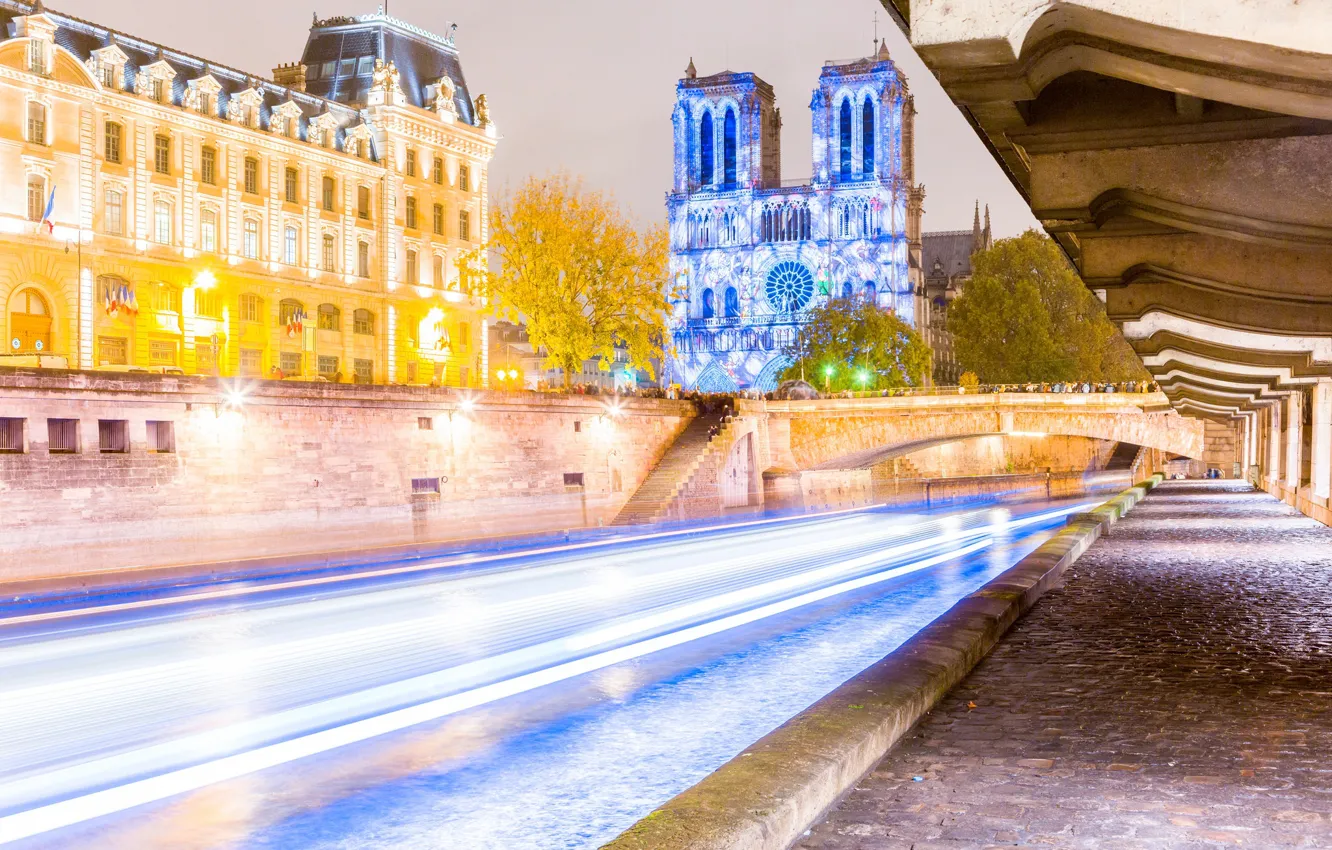 Фото обои ночь, огни, Франция, Париж, Собор Парижской Богоматери