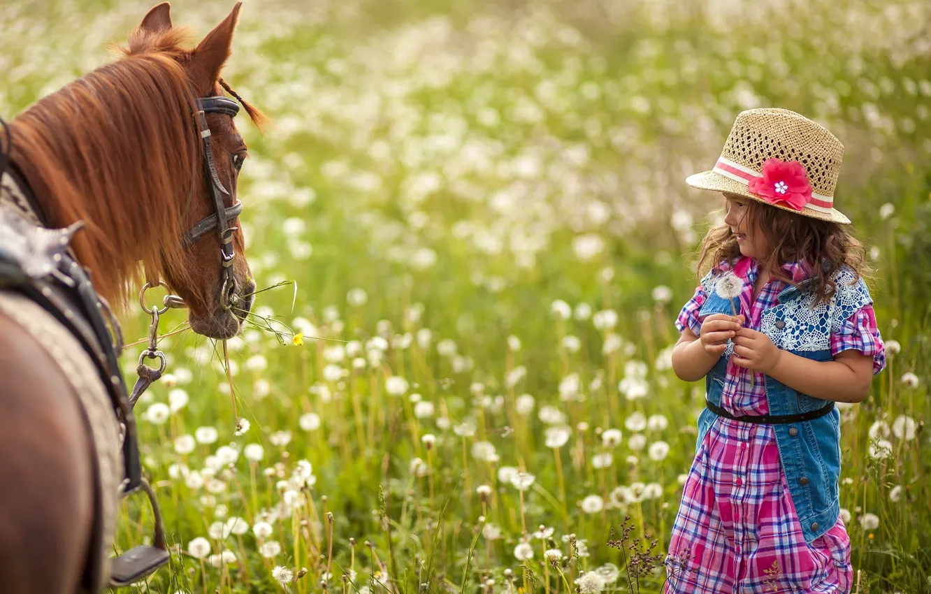 Фото обои поле, трава, цветы, природа, лошадь, ребенок