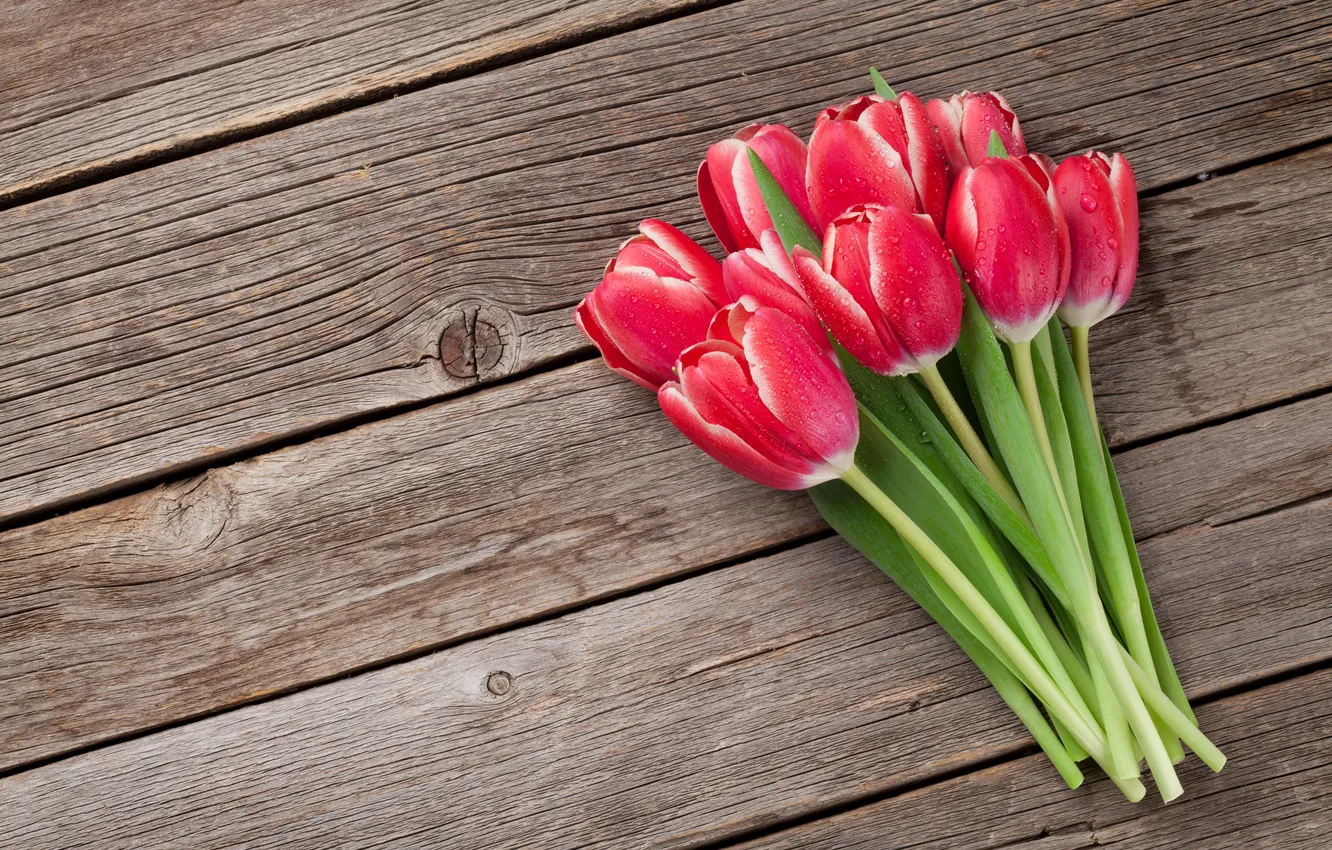 Фото обои цветы, букет, тюльпаны, красные, red, wood, flowers, romantic