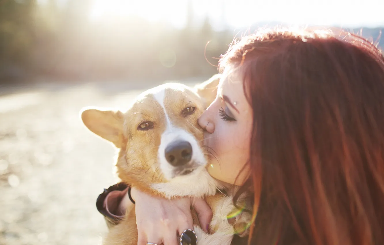 Фото обои девушка, солнце, волосы, собака, рыжая, смотрит