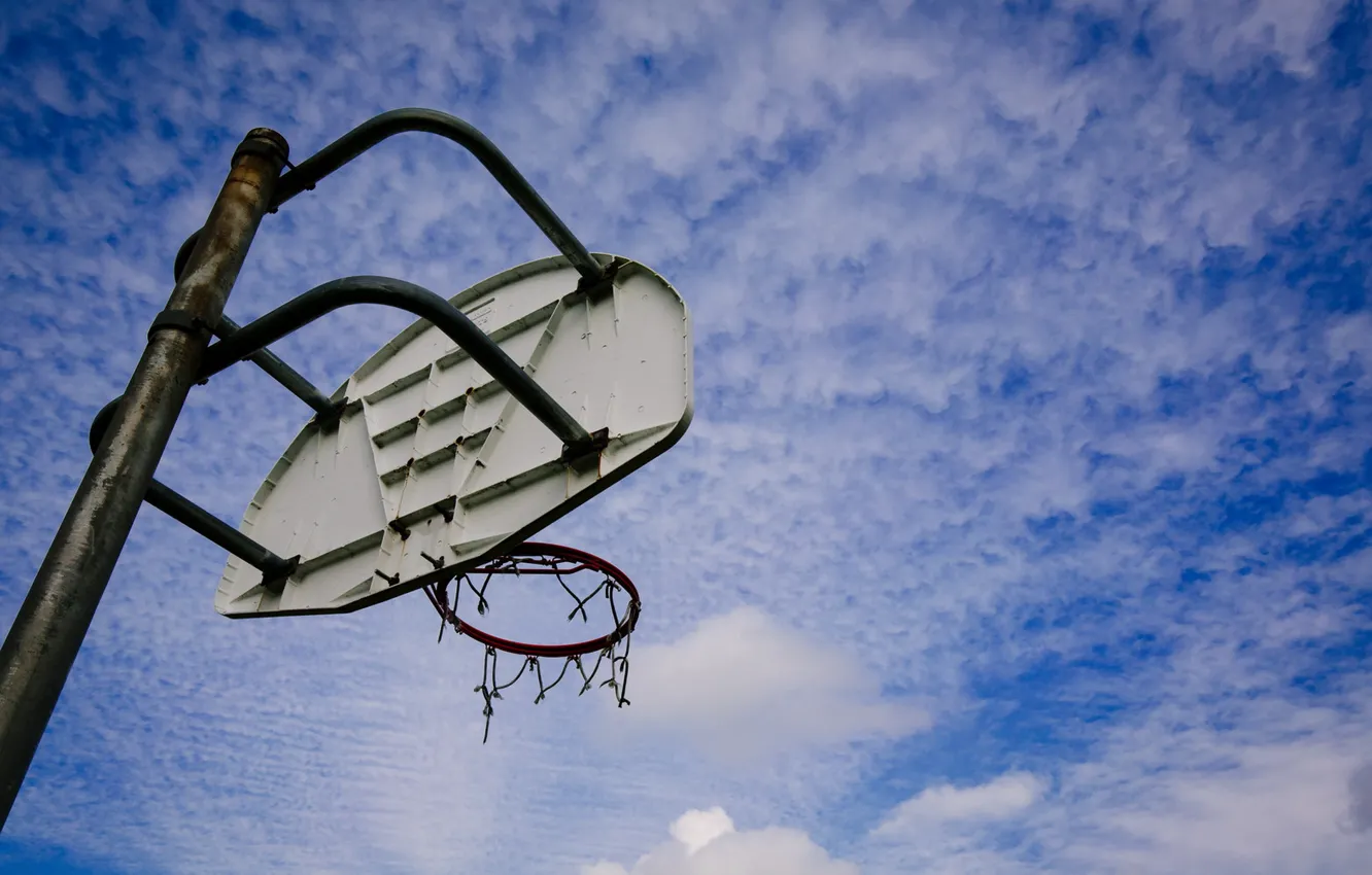 Фото обои спорт, щит, Basketball Dreams