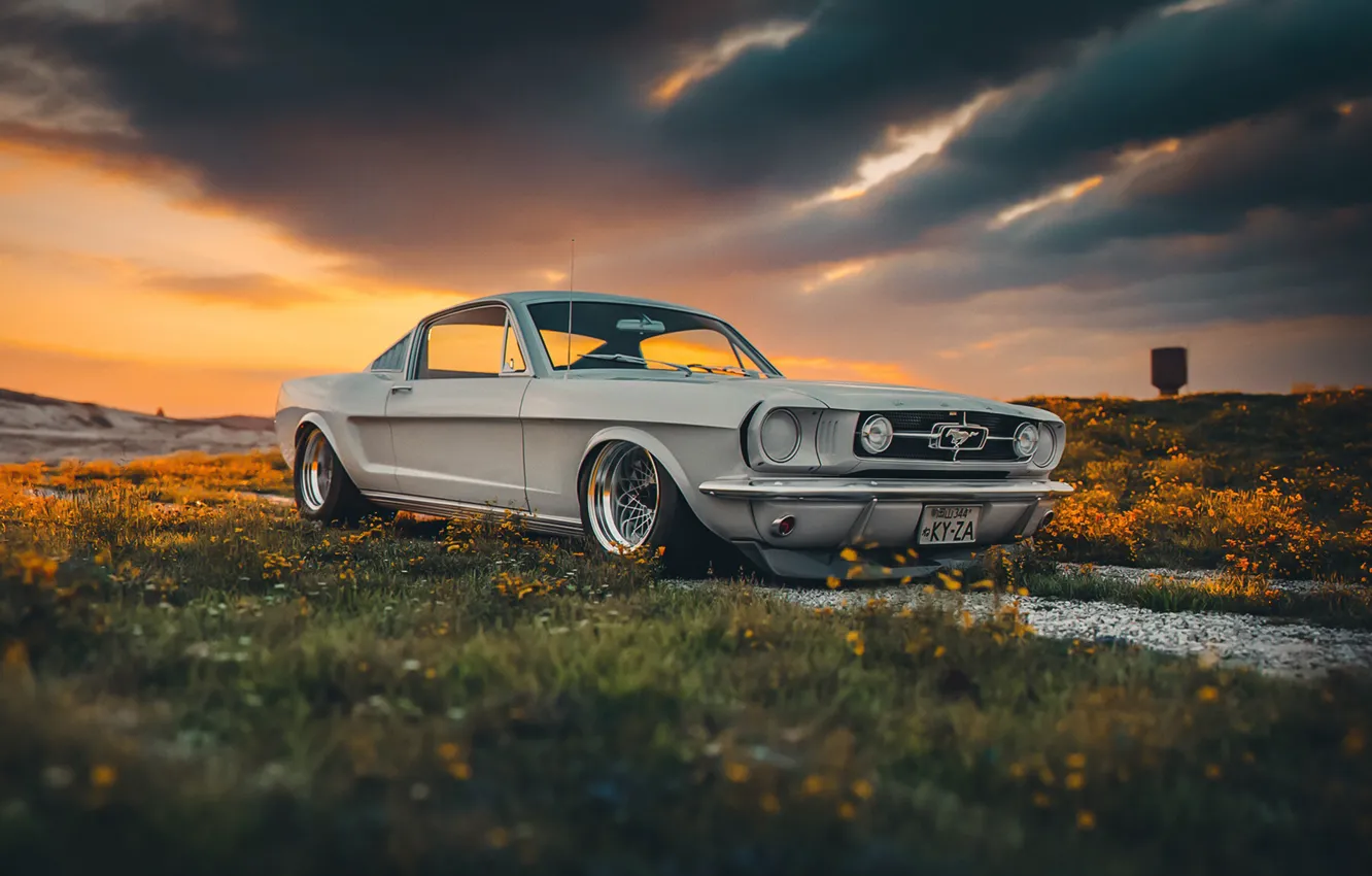 Фото обои Mustang, Ford, Shelby, GT350