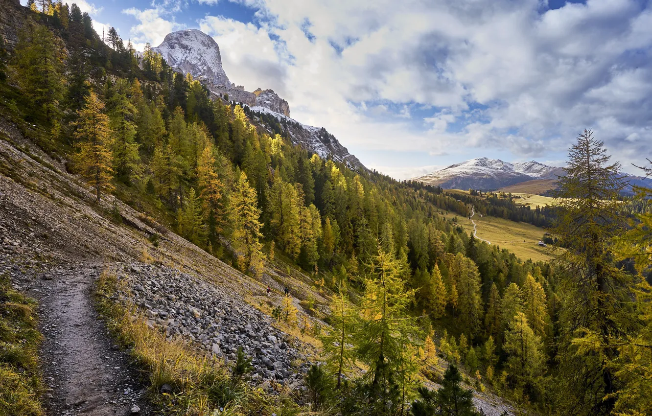 Фото обои осень, лес, природа