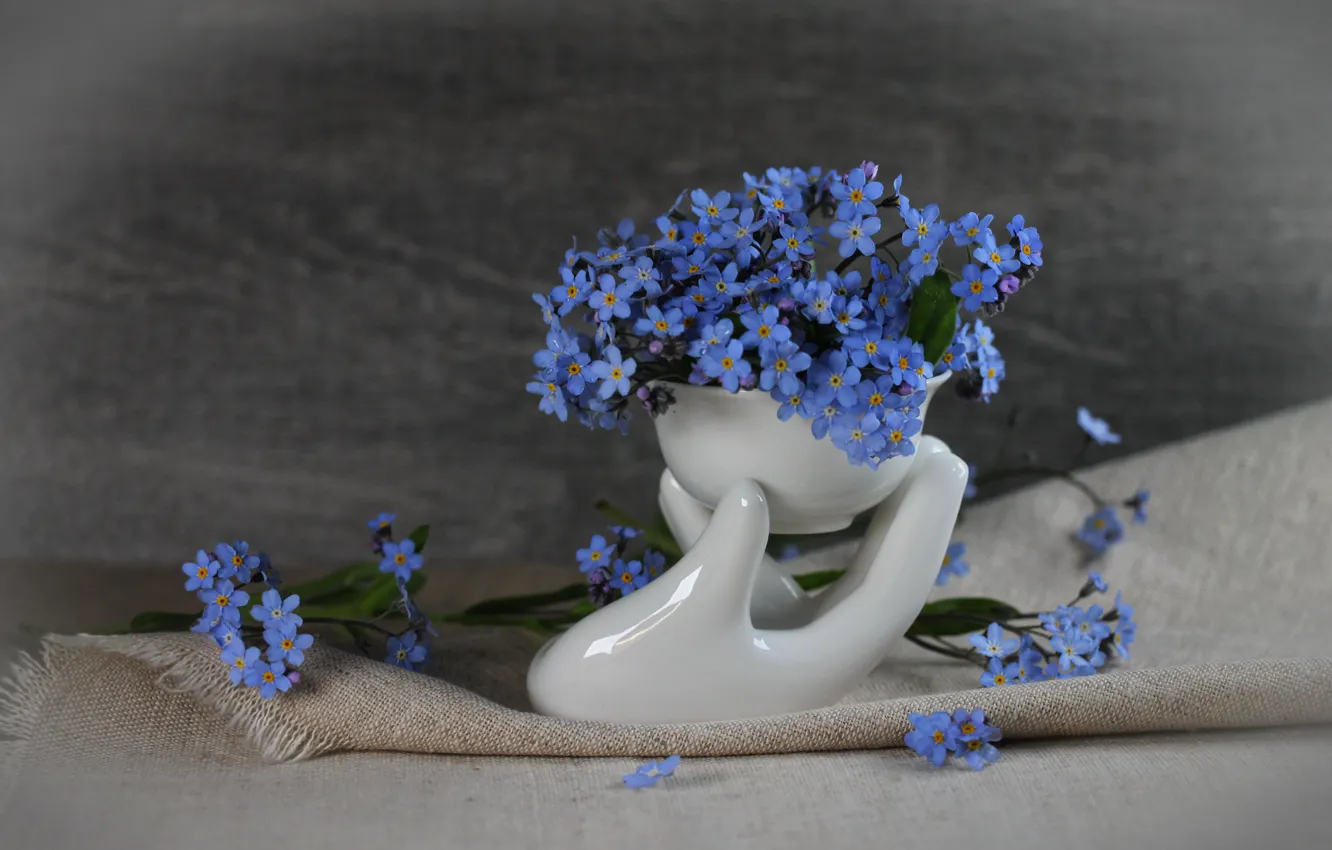Фото обои цветы, букет цветов, мешковина, незабудки, голубые цветы, фарфор, минибукет, маленький букет