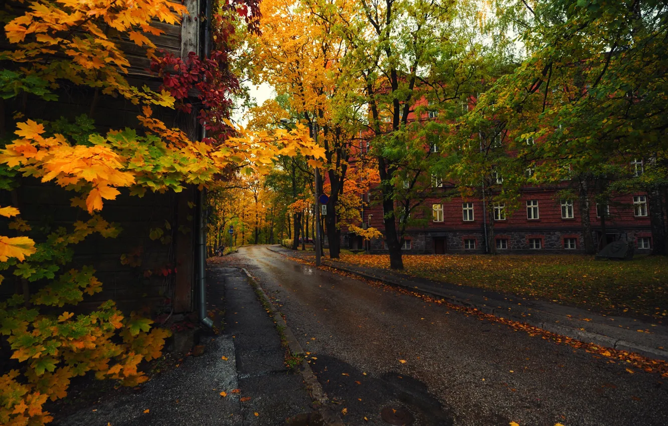 Фото обои Осень, Эстония, Тарту