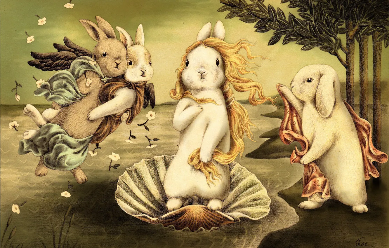 Фото обои forest, rabbit, art, shell, hare