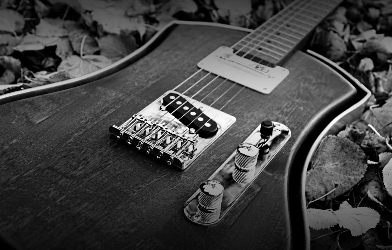 Фото обои стиль, гитара, чёрно-белое, струны, корпус, инструмент, музыкальный