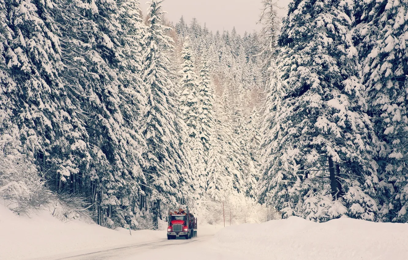 Фото обои зима, дорога, машина, лес, снег