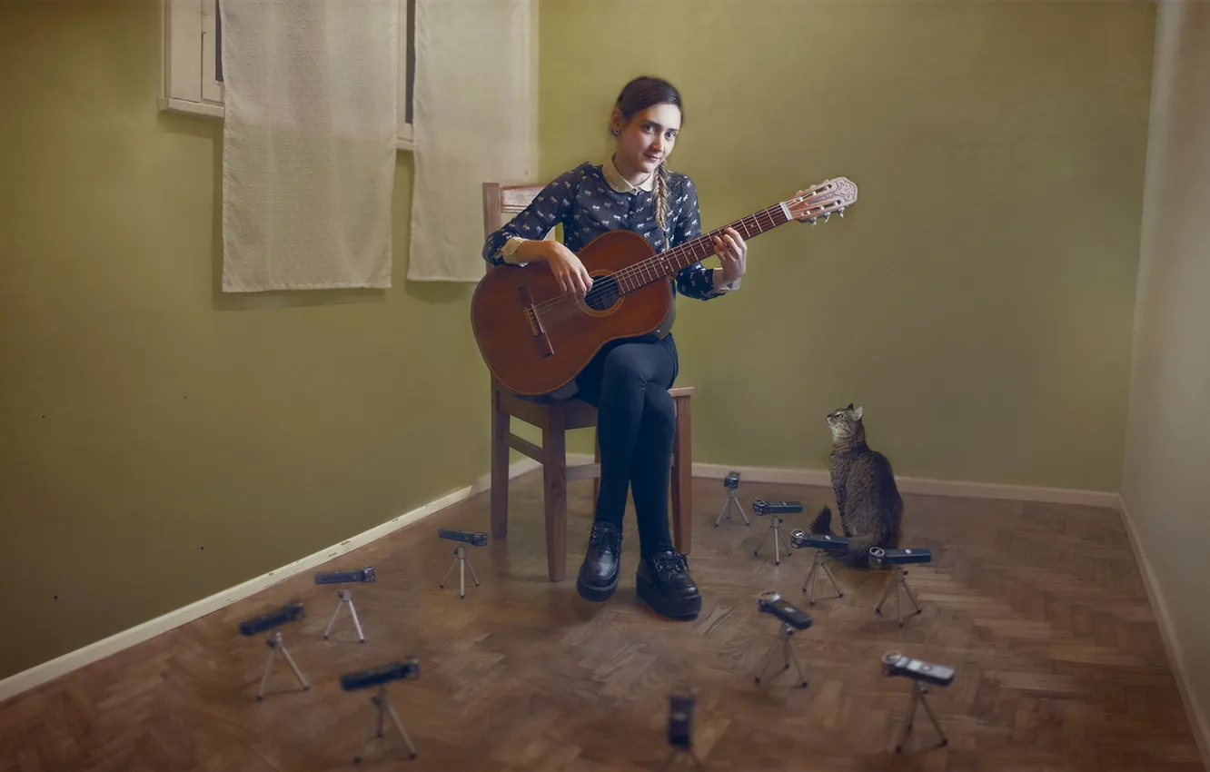 Фото обои кошка, девушка, музыка, гитара