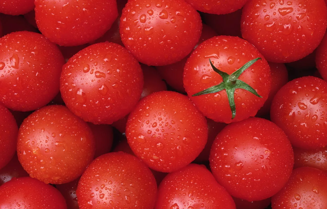 Фото обои капли, текстура, овощи, томат, помидор