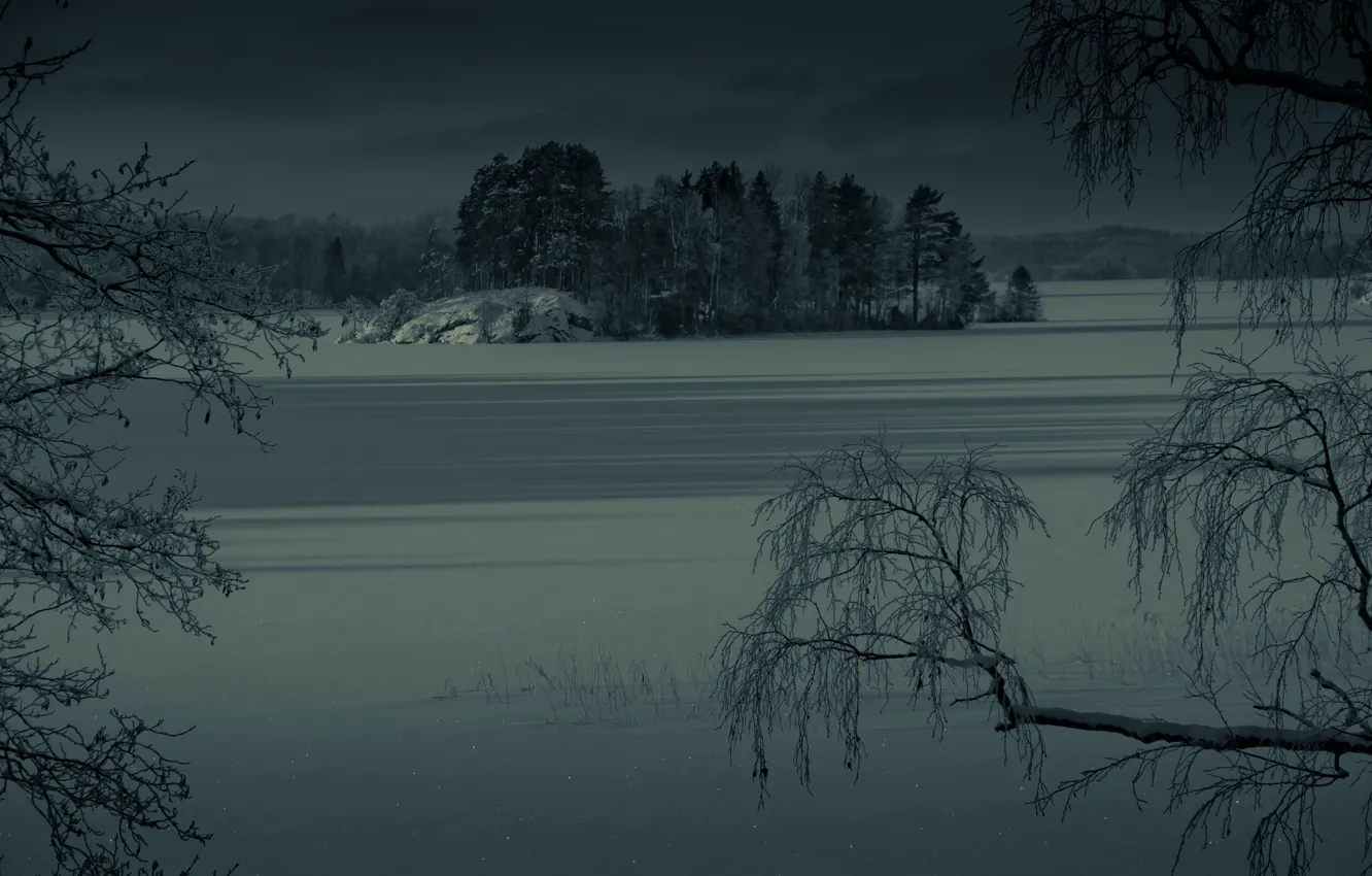 Фото обои winter, lake, frozen, islet