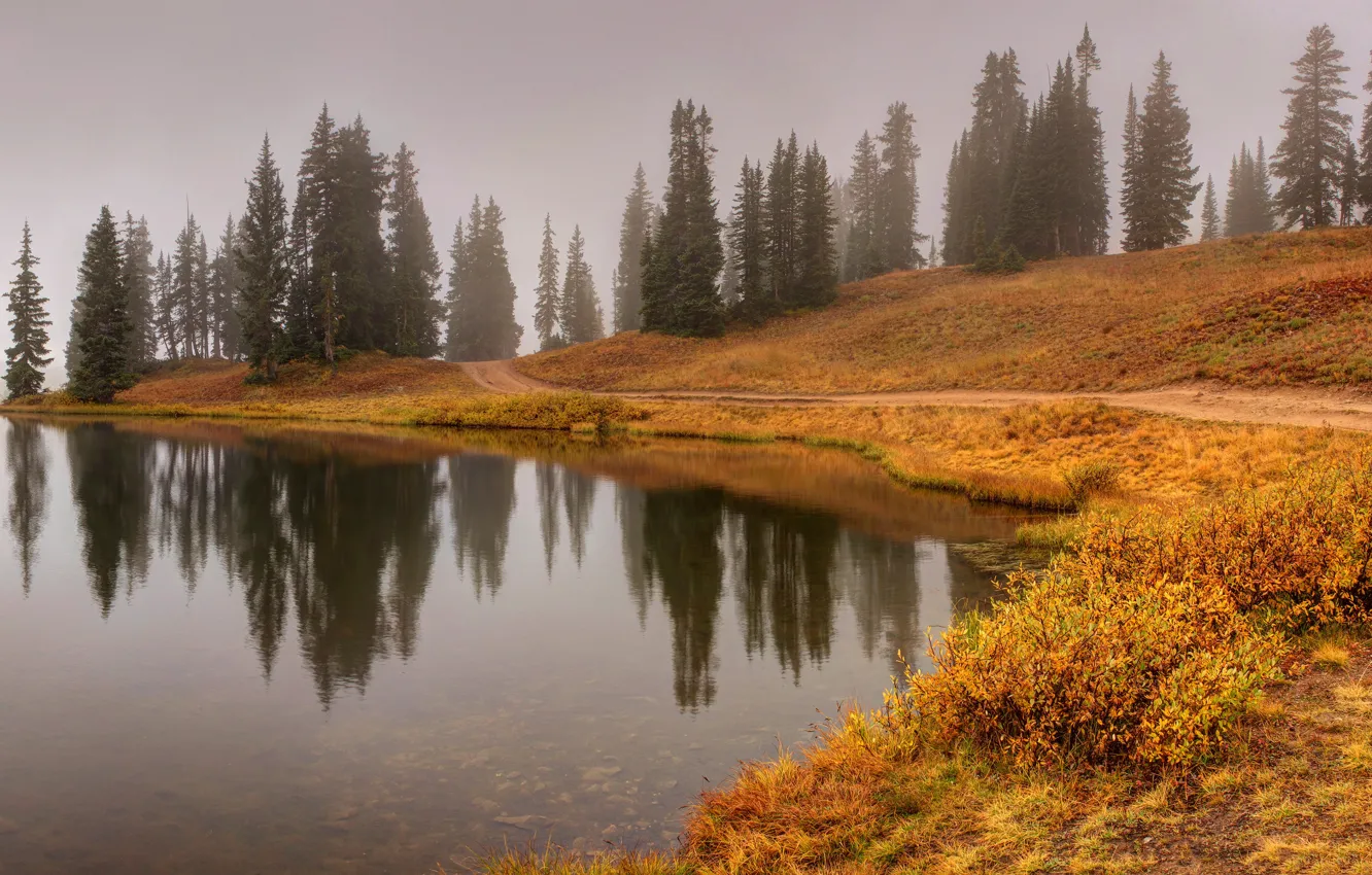 Фото обои осень, лес, туман, озеро, отражение, берег, утро, ели