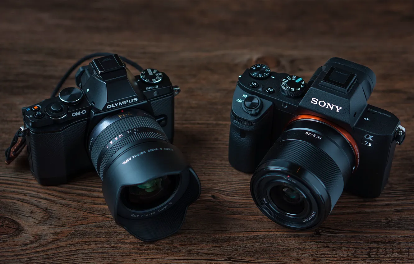 Фото обои макро, фон, камеры, Olympus OM-D E-M5, Sony Alpha 7 II
