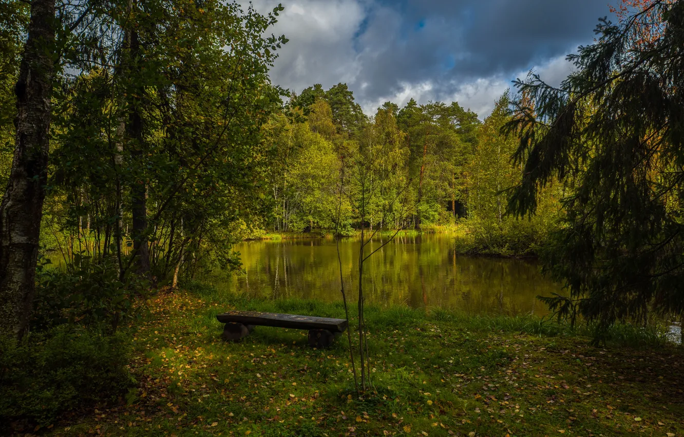 Фото обои осень, лес, деревья, озеро