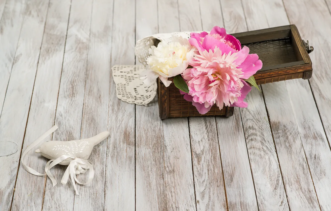 Фото обои white, бутоны, wood, pink, flowers, romantic, пионы, peonies