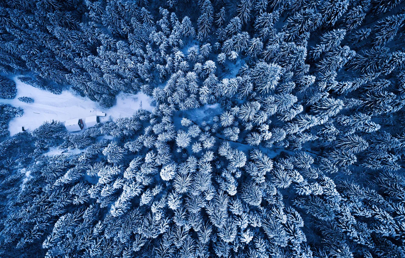 Фото обои зима, лес, вид сверху, Adnan Bubalo
