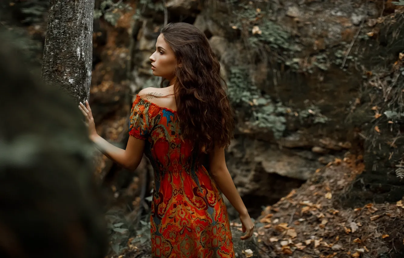 Фото обои лес, девушка, поза, волосы, платье, Лиля, Александр Сасин