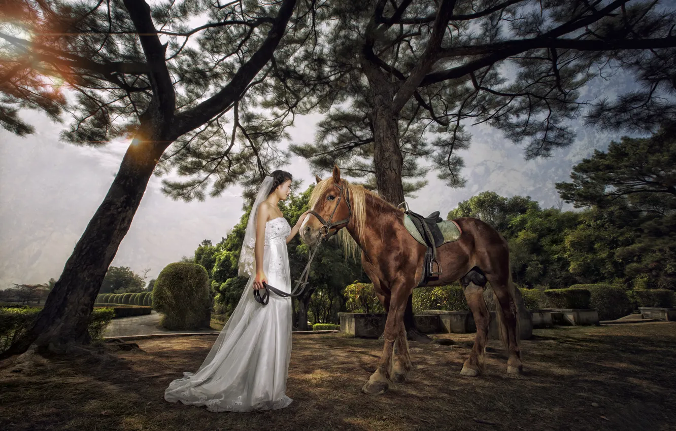 Фото обои девушка, парк, настроение, конь, платье, азиатка, невеста, свадебное платье