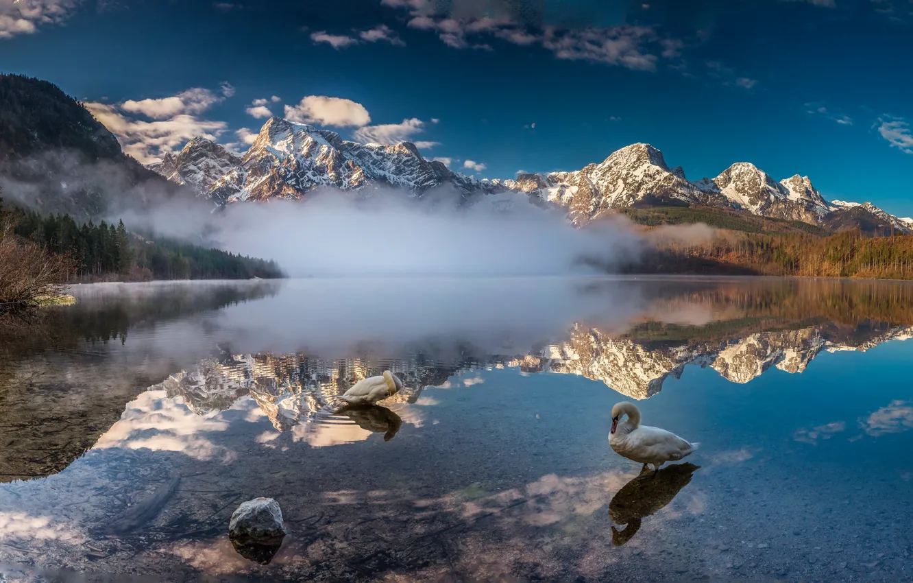 Фото обои горы, озеро, лебеди