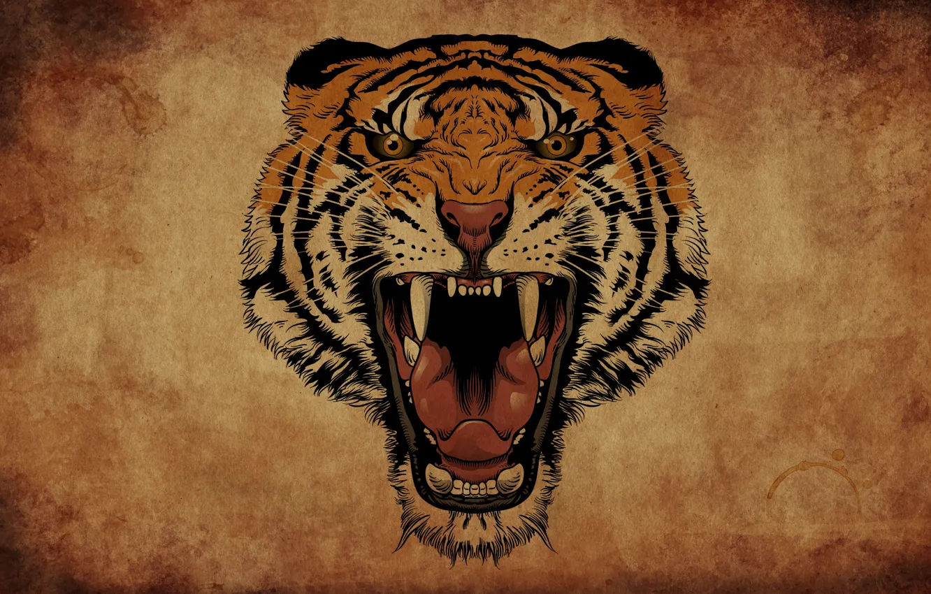 Фото обои тигр, фон, пасть, клыки, рык