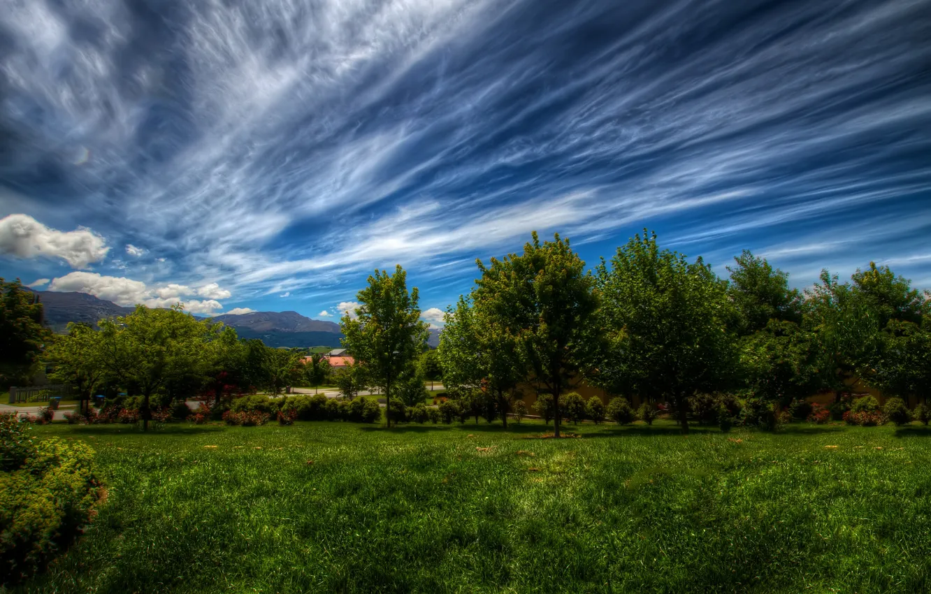 Фото обои небо, трава, облака, деревья