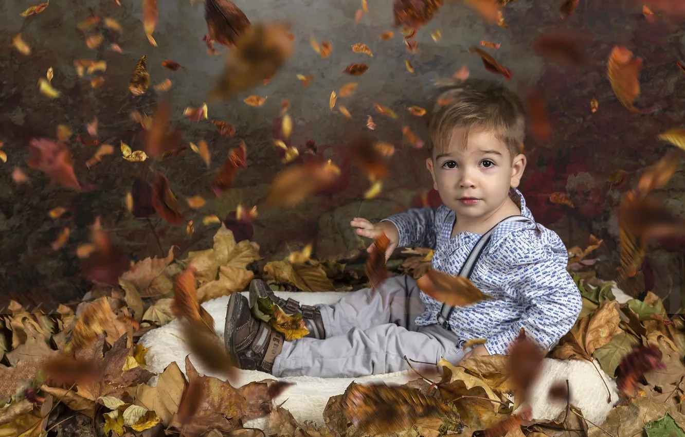 Фото обои осень, листья, мальчик