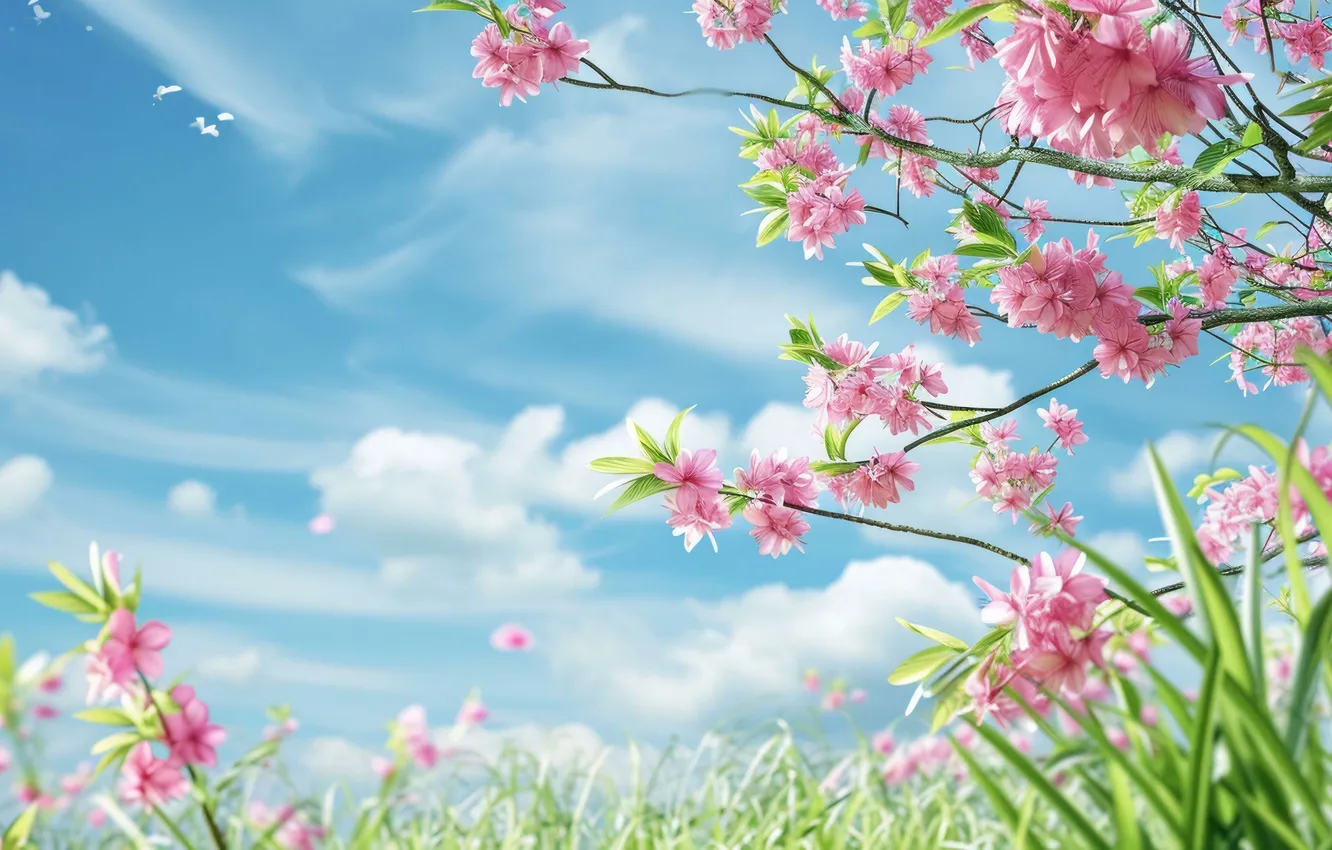Фото обои цветы, весна, sunshine, цветение, pink, blossom, flowers, spring
