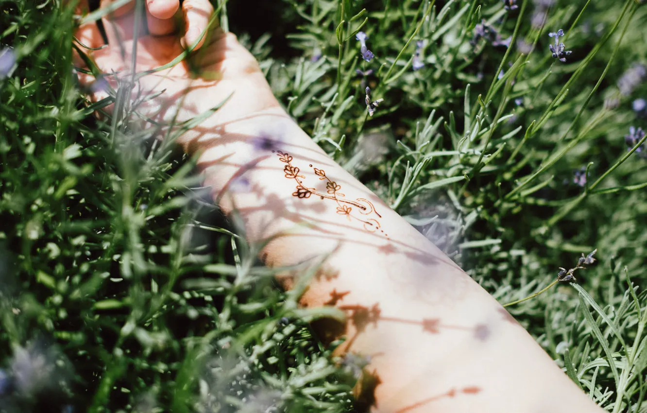 Фото обои лето, трава, рисунок, рука, тату, татуировка