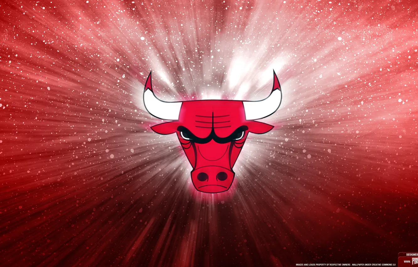 Фото обои logo, new, chicago bulls