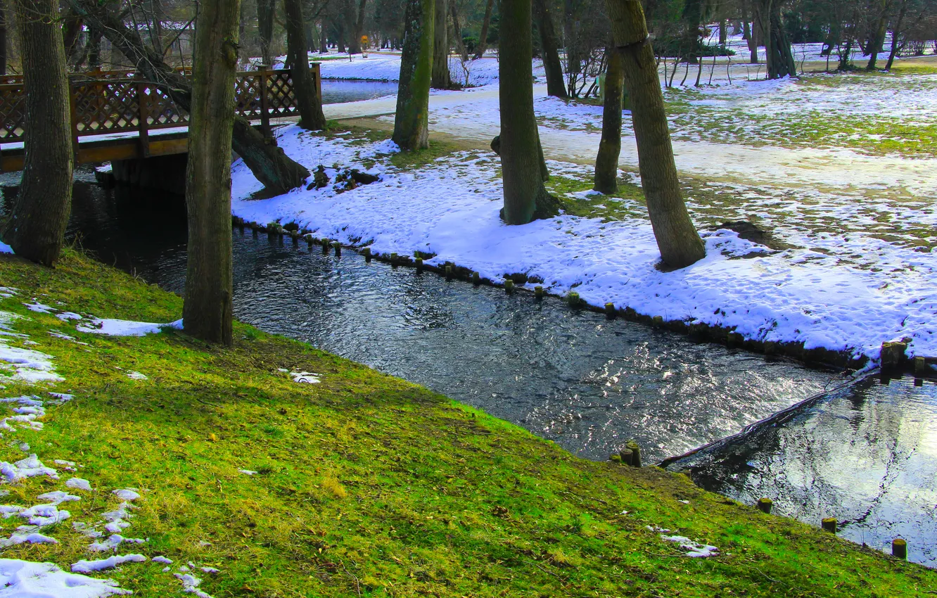 Фото обои trees, park, water stream
