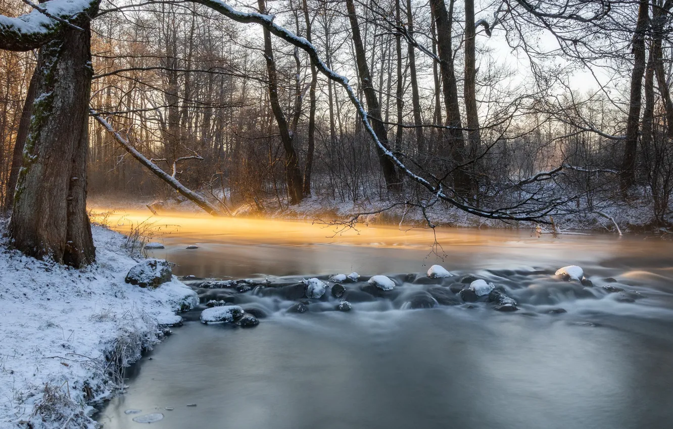 Фото обои зима, река, утро
