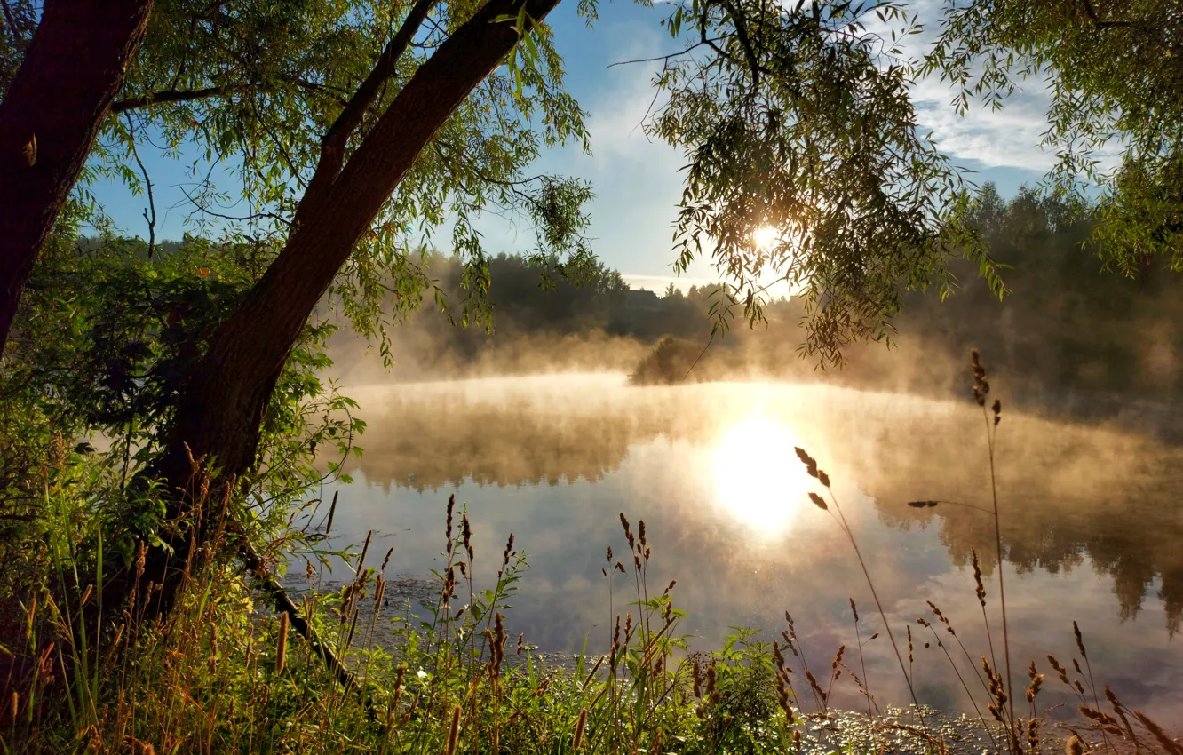 Фото обои туман, берег, утро, водоем