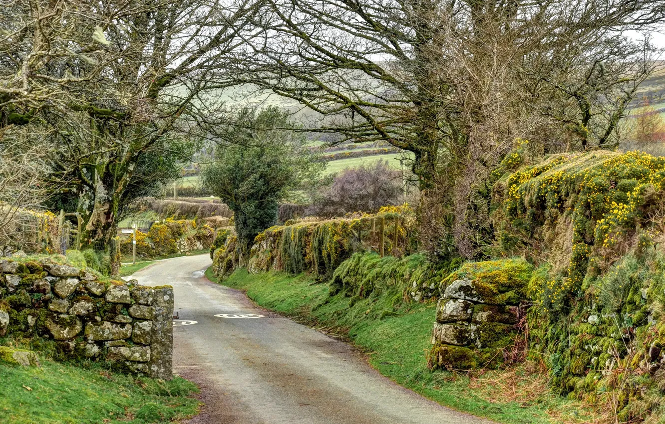 Фото обои дорога, деревья, камни, Англия, мох, Widecombe in the Moor
