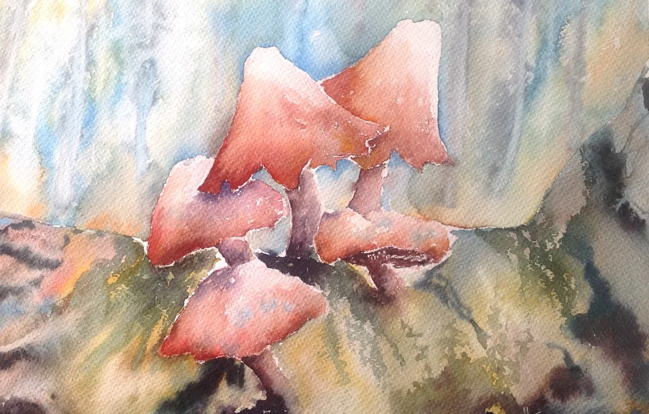 Фото обои грибы, картина, акварель