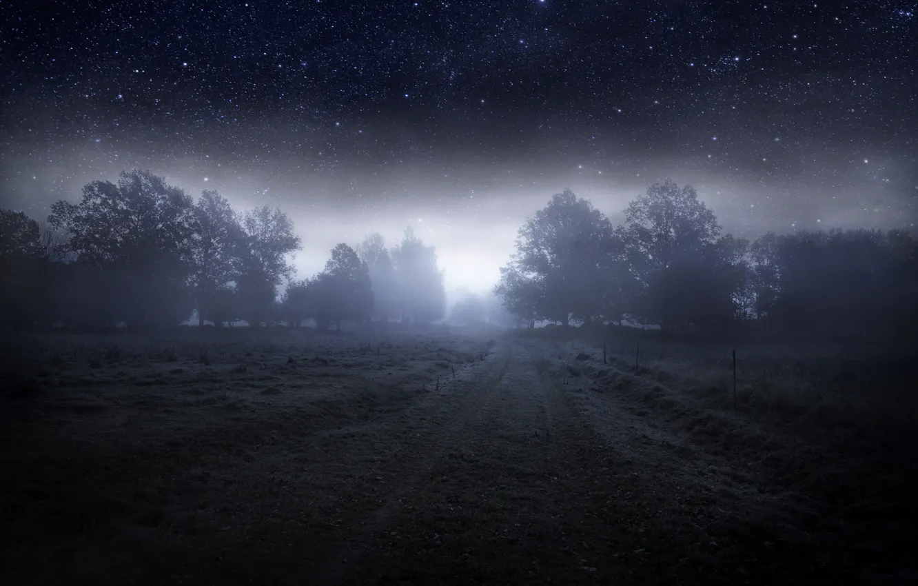 Фото обои звезды, деревья, ночь, туман