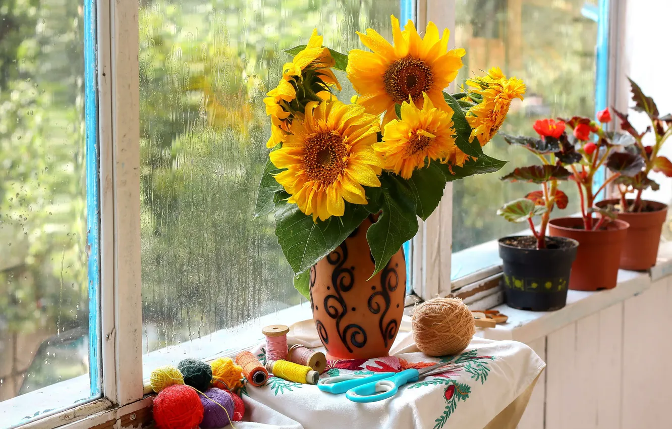 Фото обои капли, свет, подсолнухи, цветы, дождь, желтые, окно, ваза