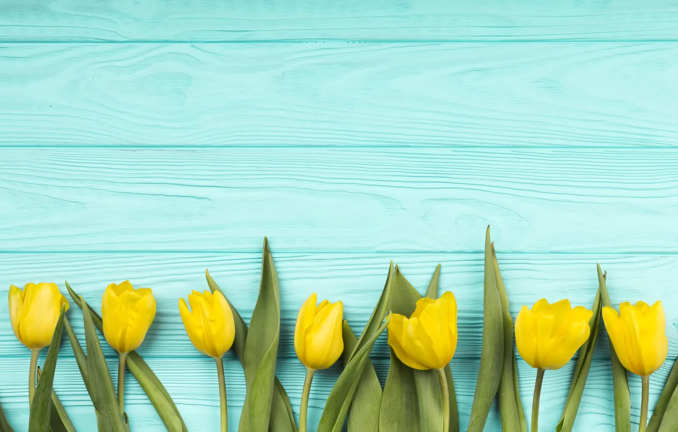 Фото обои цветы, букет, colorful, тюльпаны, yellow, wood, flowers, голубой фон