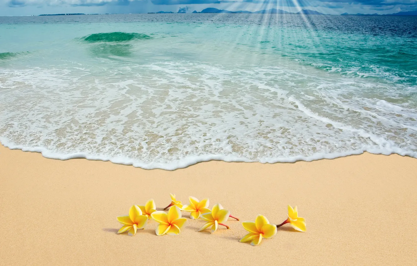 Фото обои песок, море, пляж, солнце, summer, sunshine, beach, sea
