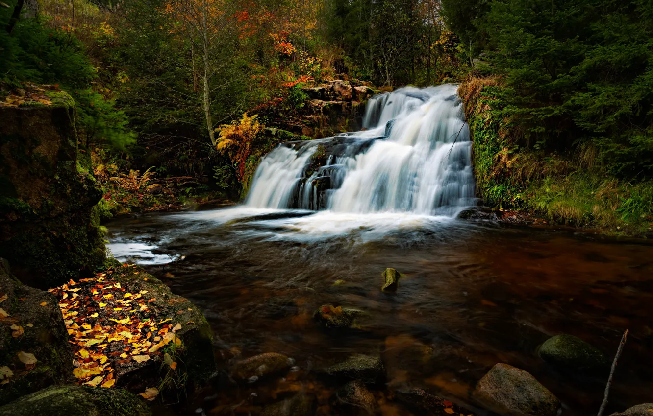 Фото обои осень, лес, река, водопад, Германия, каскад, Germany, Баден-Вюртемберг