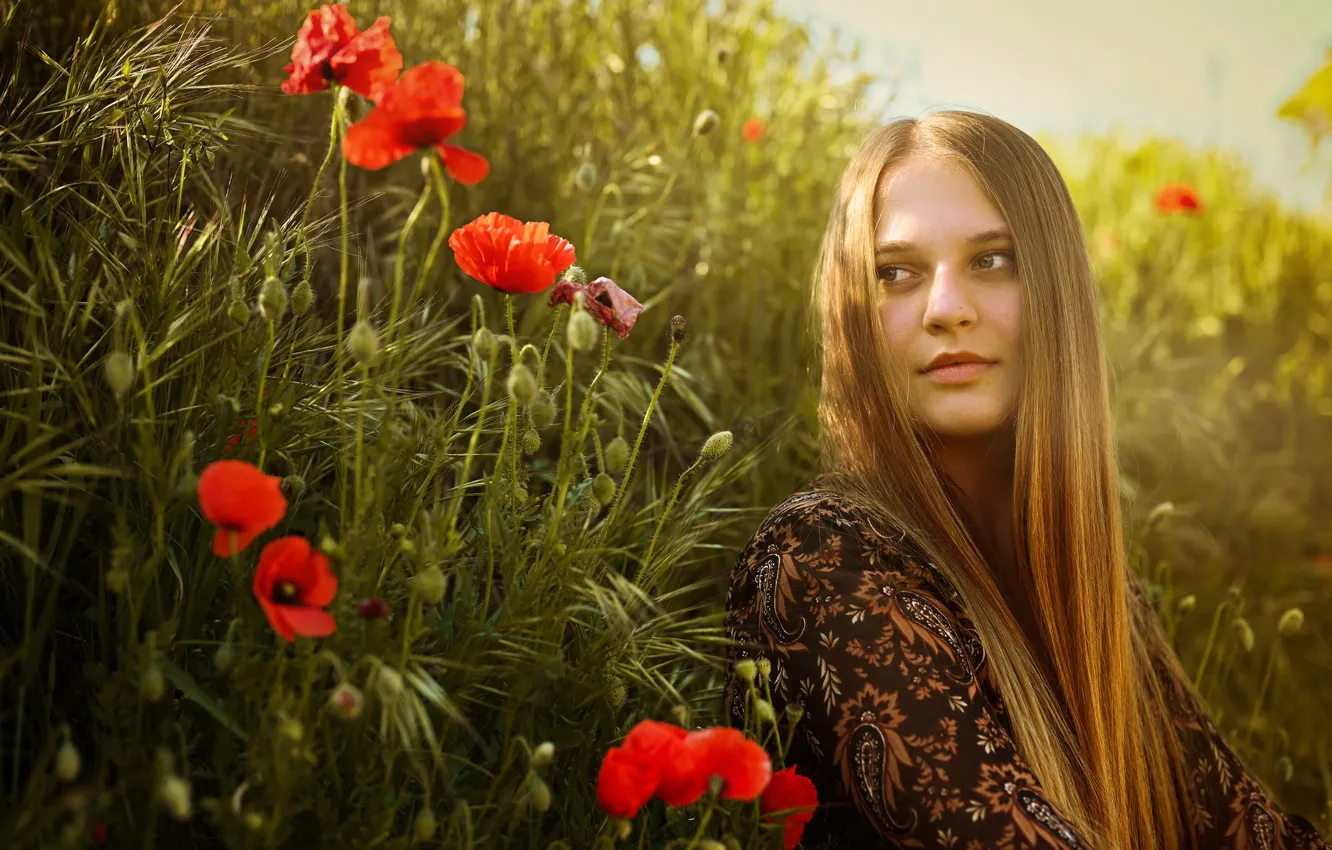 Фото обои лето, взгляд, девушка, свет, цветы, маки, портрет, блондинка