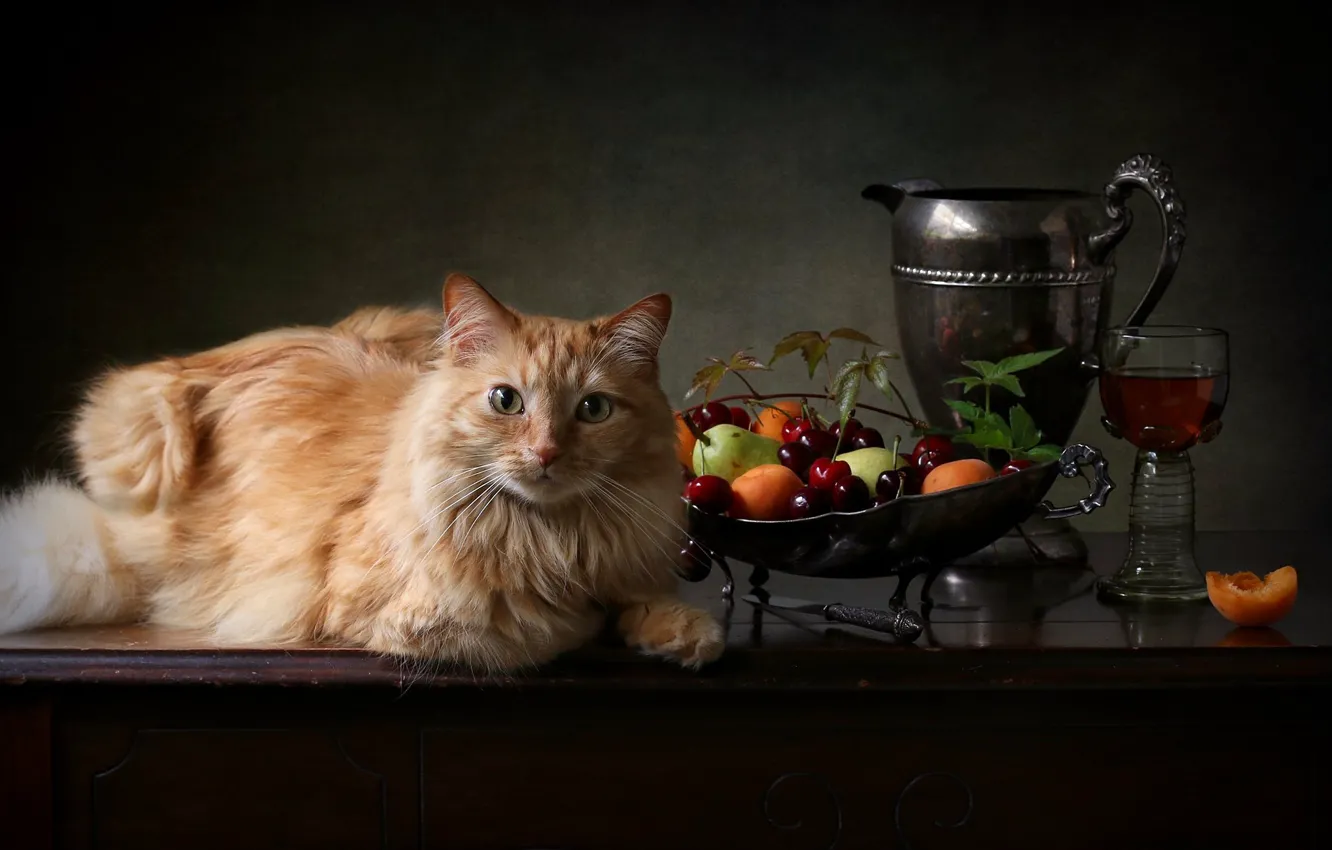 Фото обои кошка, кот, взгляд, ягоды, бокал, рыжий, кувшин, фрукты