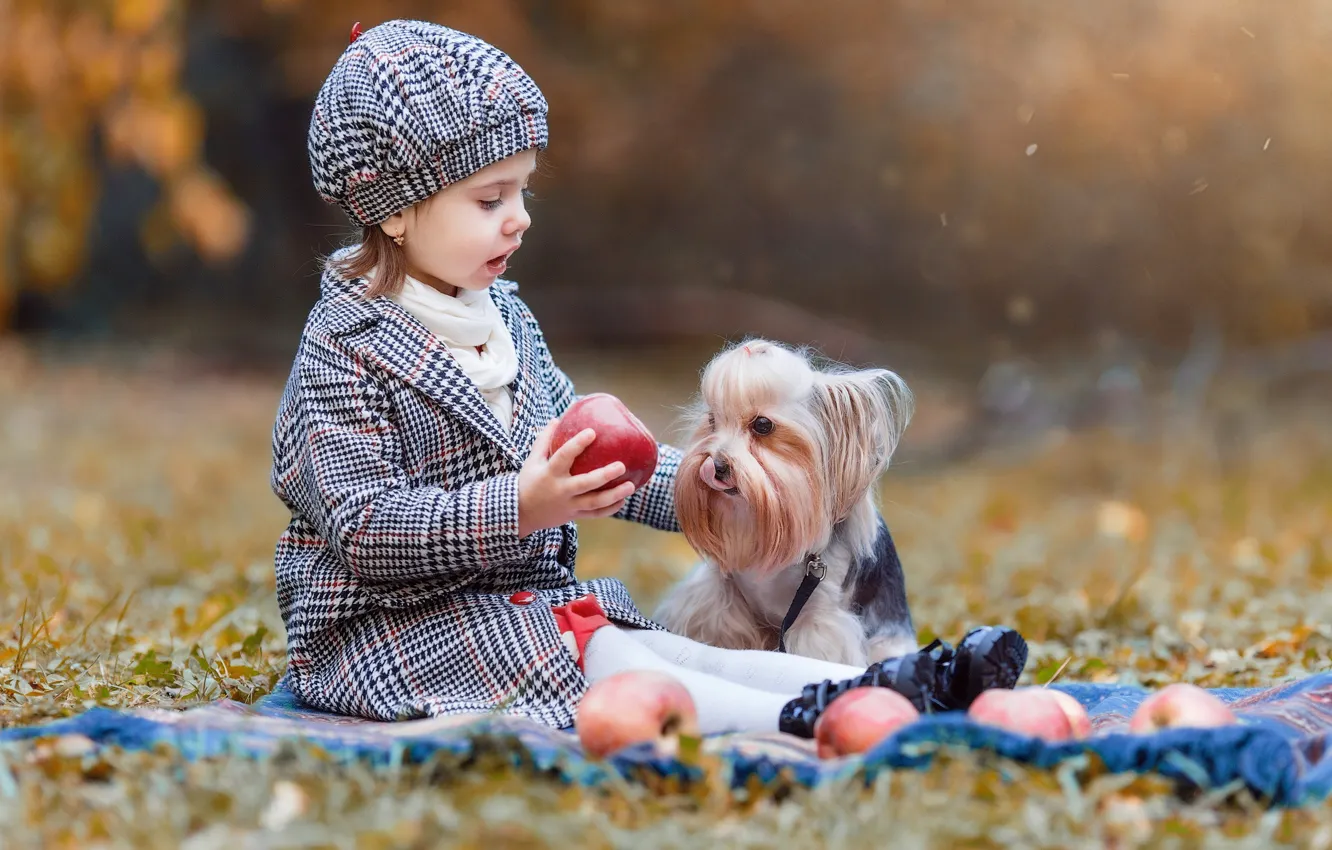Фото обои осень, природа, девочка, собачка, малышка, ребёнок, пёсик, Владимир Осауленко